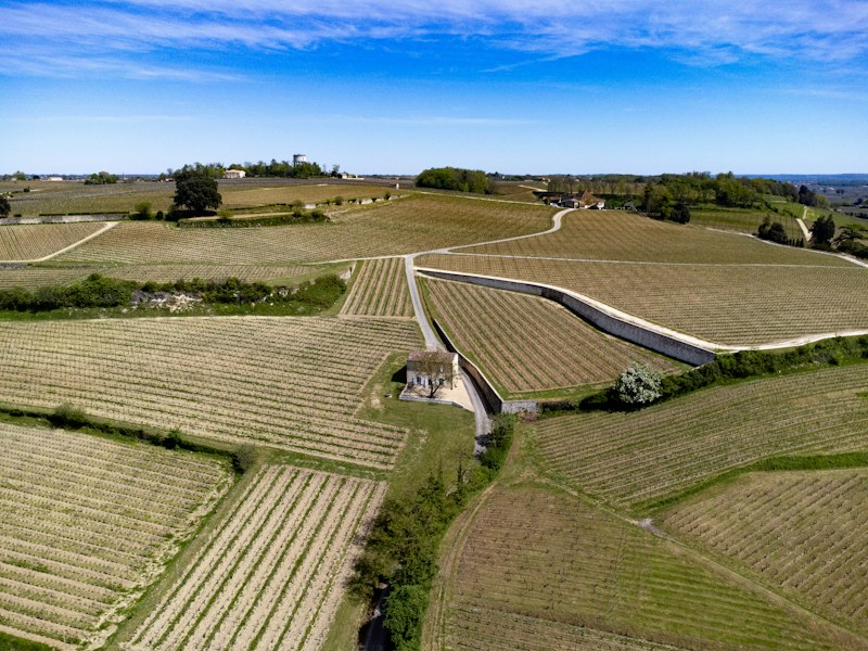 Vineyards near Saint-Émilion in the Bordeaux region
