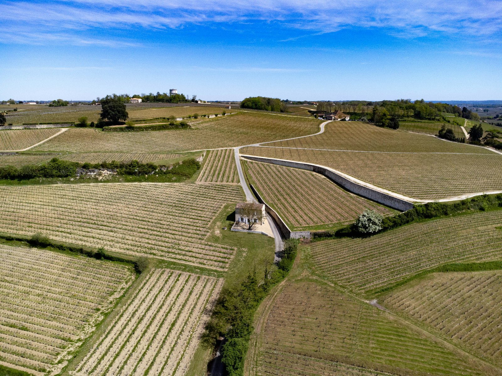 Vineyards near Saint-Émilion in the Bordeaux region